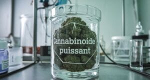 Comment les molécules et cannabinoïdes puissants peuvent-ils améliorer la concentration et réduire le stress ? les molécules et cannabinoïdes puissants pour améliorer la concentration et réduire le stress